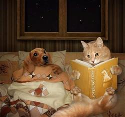 DRES-Kitap okuyan kedi.jpg